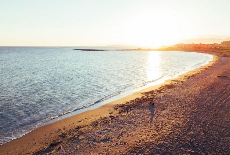 Apartment w Almerimar - oferta SP0988