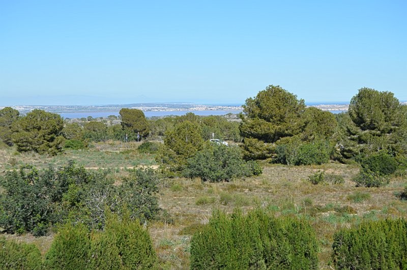 Apartment w Blue Lagoon - oferta MLSC9761707