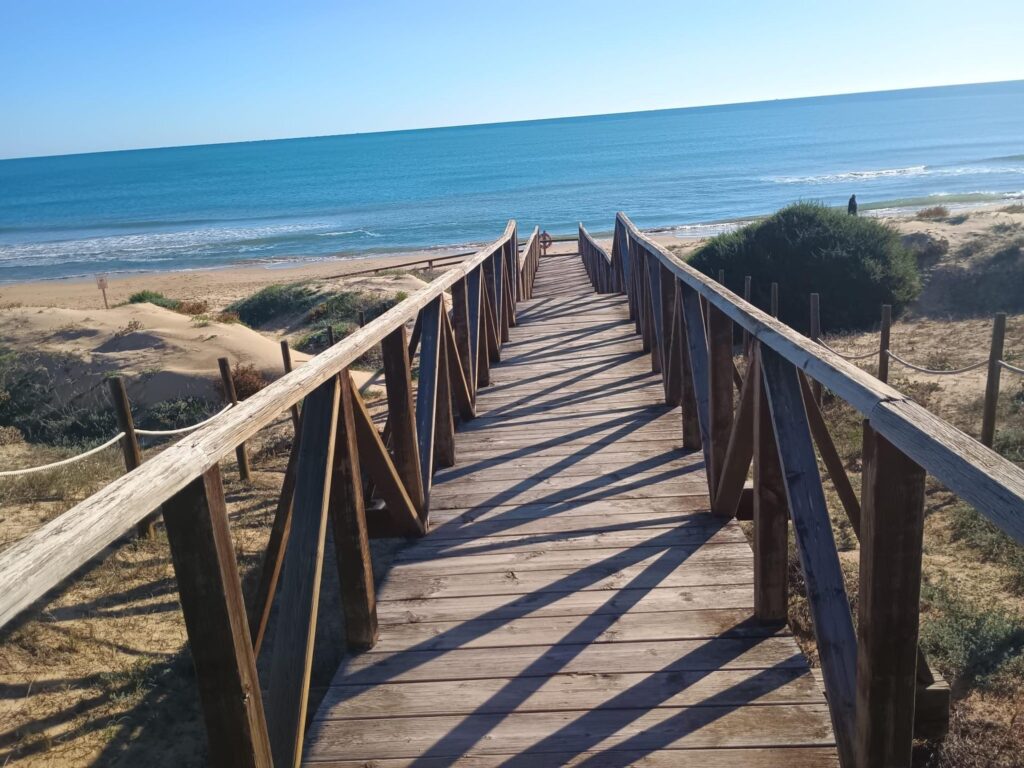 Apartment w Guardamar del Segura - oferta MLSC8336772