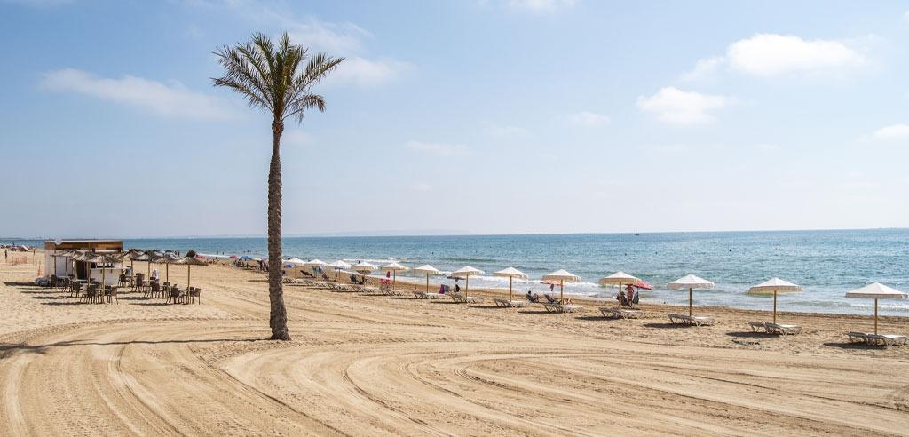 Apartment w Guardamar del Segura - oferta N9582
