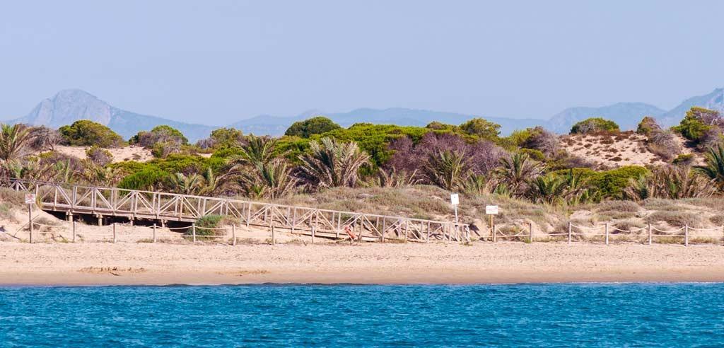 Apartment w Guardamar del Segura - oferta N9583