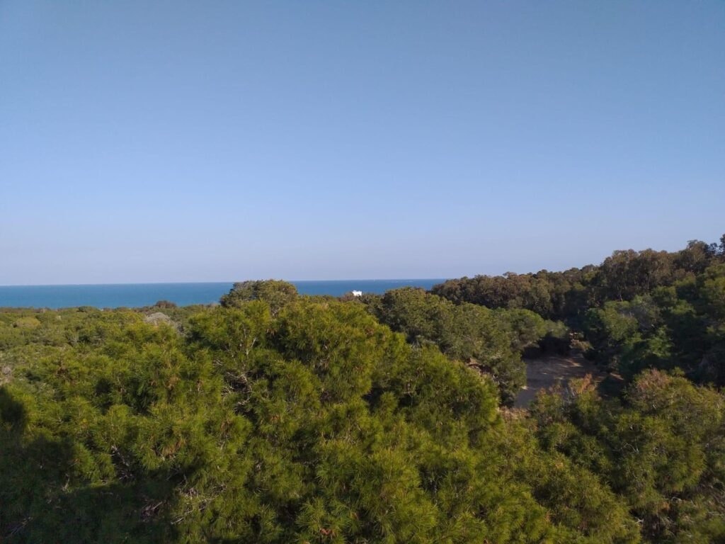 Apartment w Guardamar del Segura - oferta SP1362