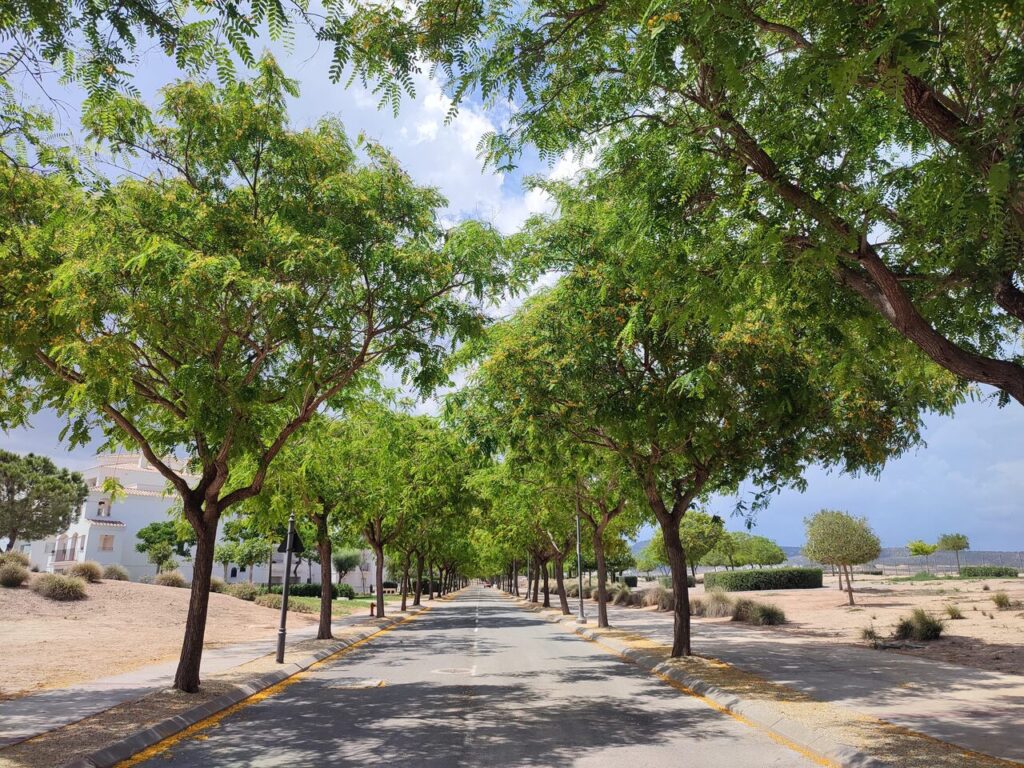 Apartment w Hacienda Riquelme Golf Resort - oferta MLSC9455152