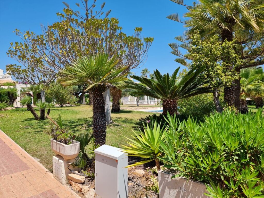 Apartment w Torrevieja - oferta MLSC1716857
