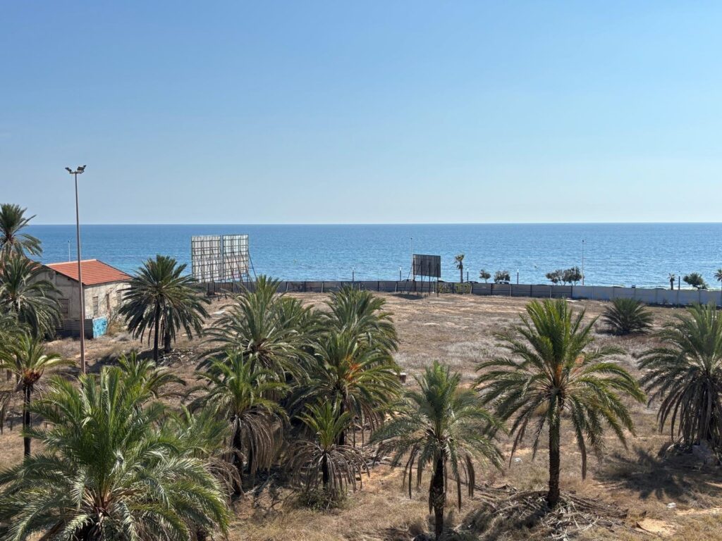 Apartment w Torrevieja - oferta MLSC8966165