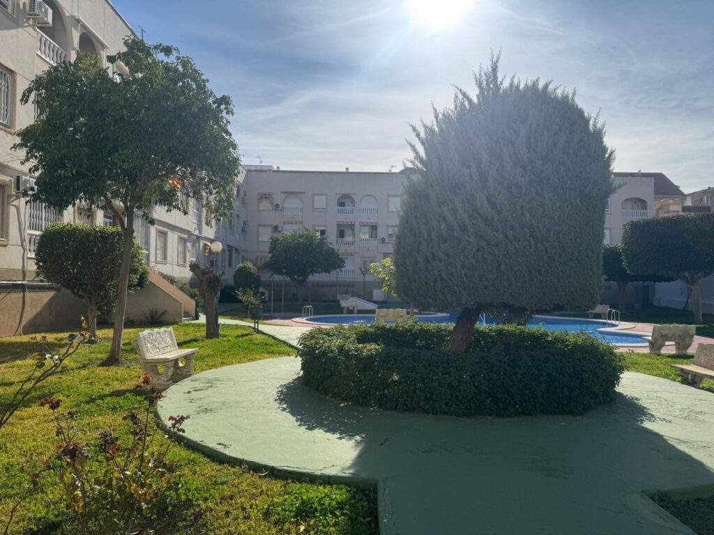 Apartment w Torrevieja - oferta MLSC9507248