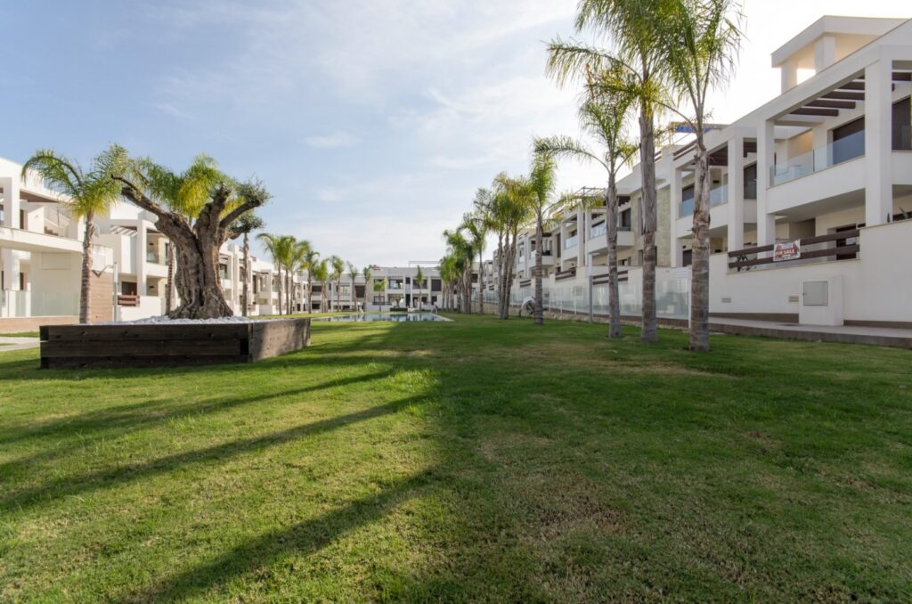 Bungalow w Torrevieja - oferta N6470