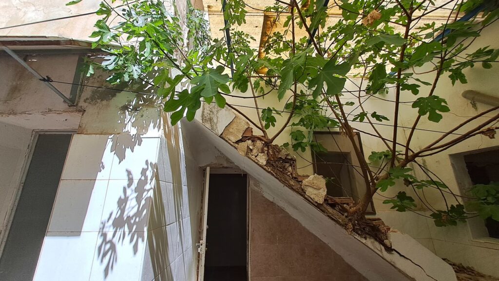 Commercial w Orihuela - oferta MLSC3931384