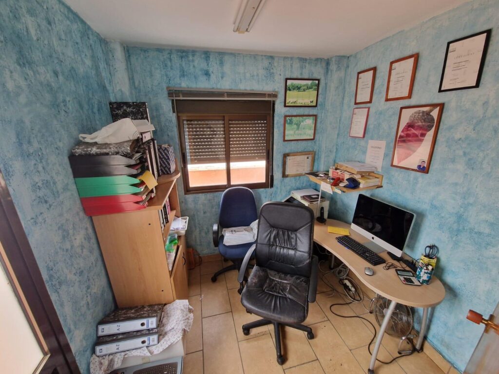Commercial w Torrevieja - oferta MLSC2579666