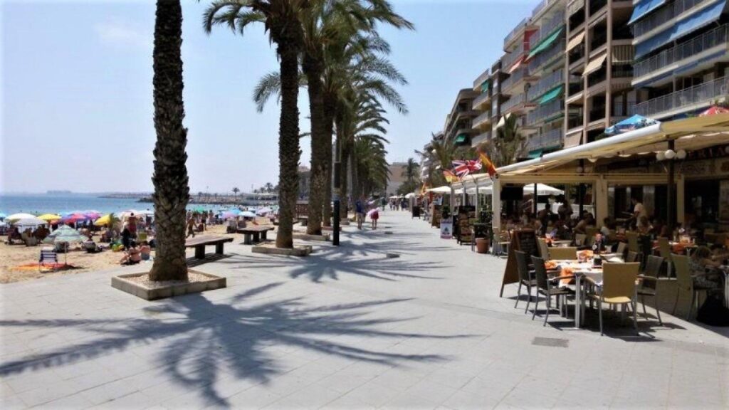 Commercial w Torrevieja - oferta MLSC629241
