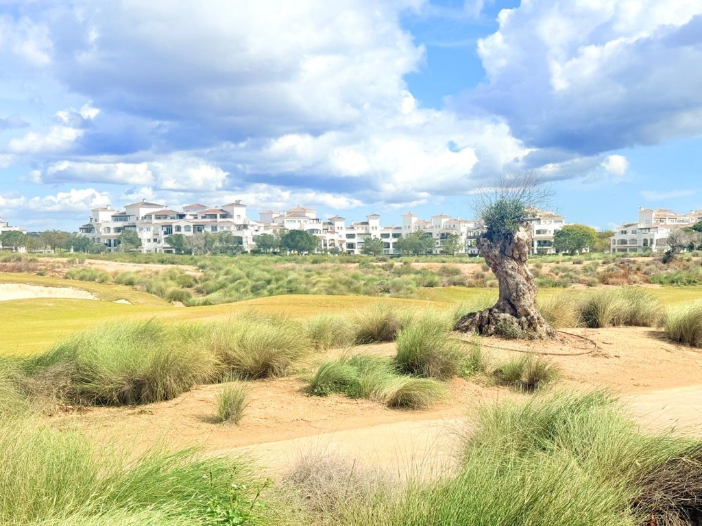 Duplex w Hacienda Riquelme Golf Resort - oferta MLSC7643953