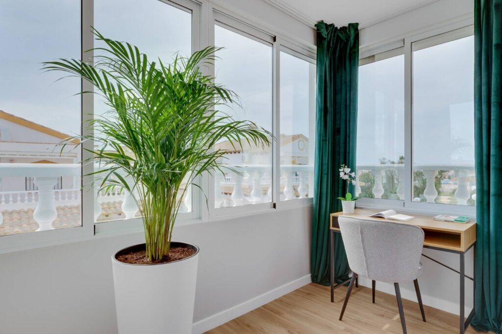 Duplex w Orihuela - oferta MLSC9195222