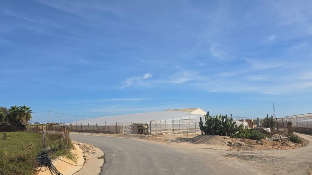 Finca w Pilar de La Horadada - oferta MLSC4671691
