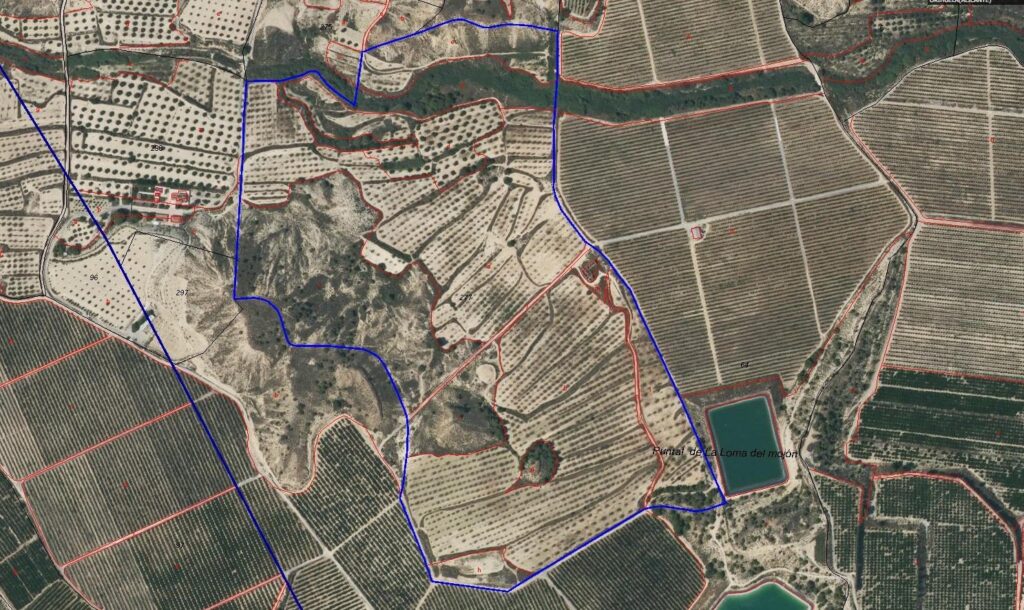 Finca w Torremendo - oferta MLSC6591732