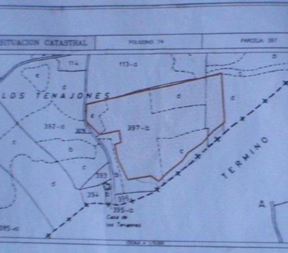Land w Abanilla - oferta MLSC9047247