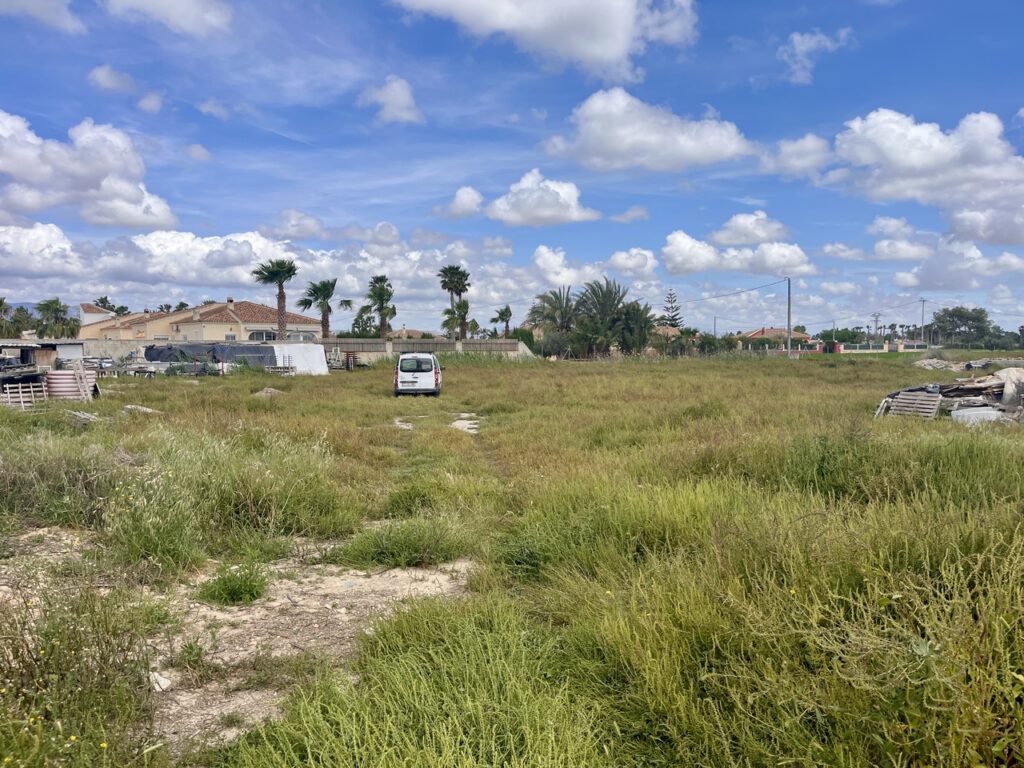 Land w Catral - oferta MLSC958184