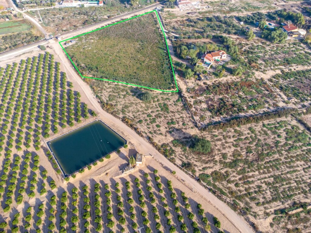 Land w Crevillent - oferta MLSC7238840