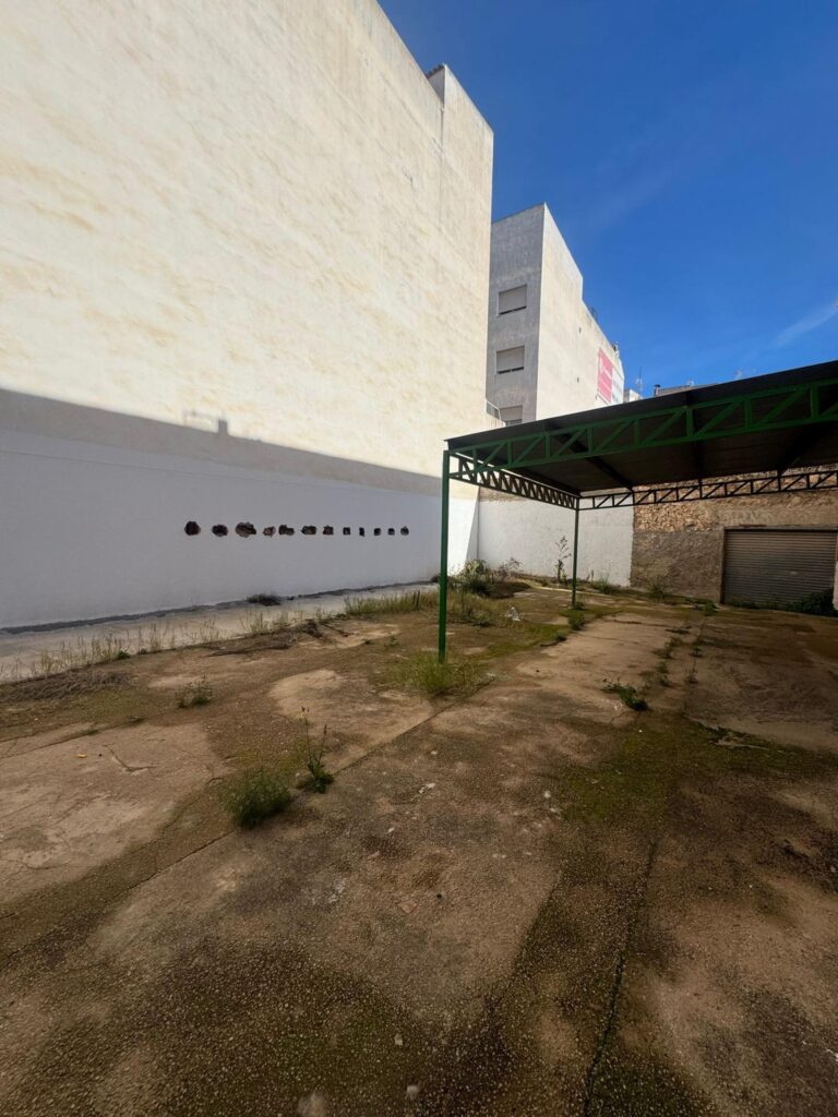 Land w Guardamar del Segura - oferta MLSC5542019