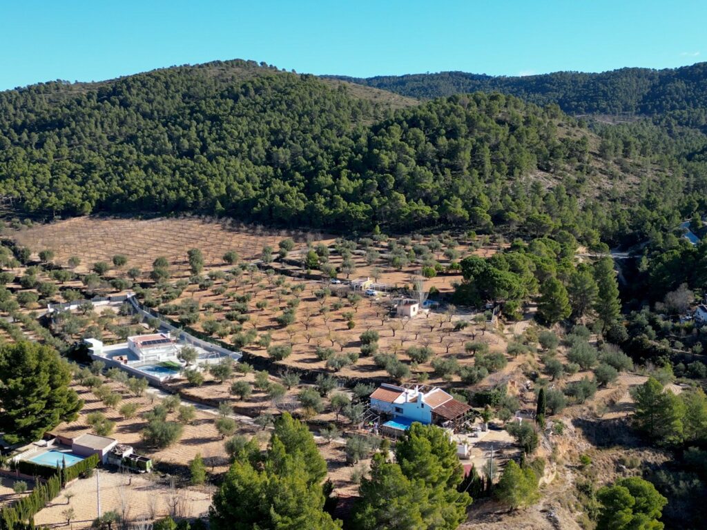 Land w Ibi - oferta MLSC4264463