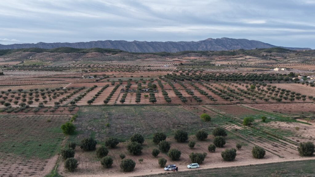 Land w Jumilla - oferta MLSC1003234