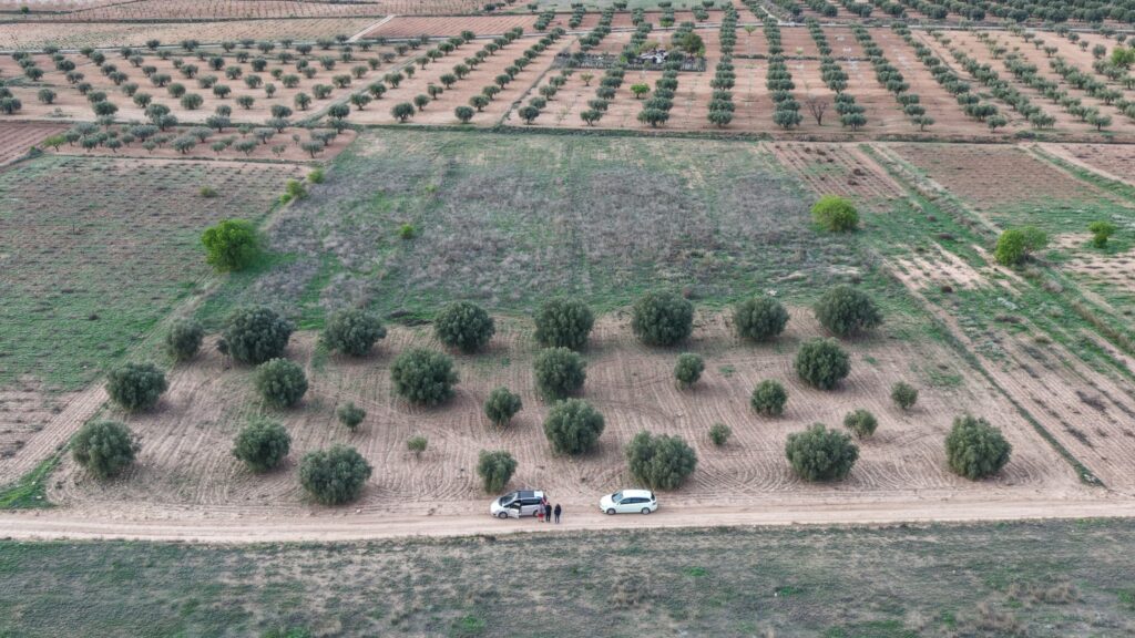 Land w Jumilla - oferta MLSC1003234