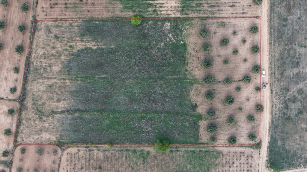 Land w Jumilla - oferta MLSC1003234