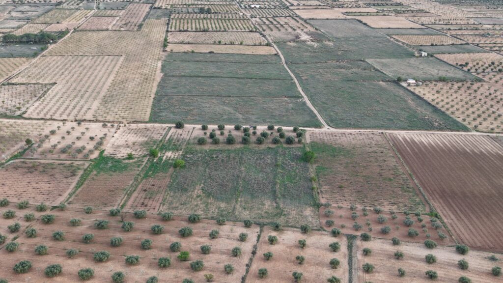Land w Jumilla - oferta MLSC1003234