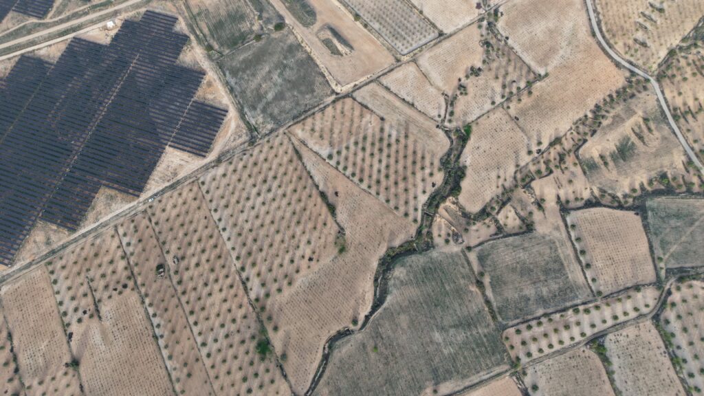 Land w Jumilla - oferta MLSC6917788