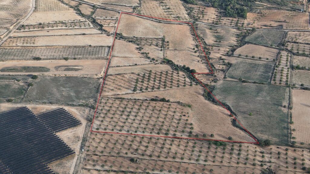 Land w Jumilla - oferta MLSC6917788