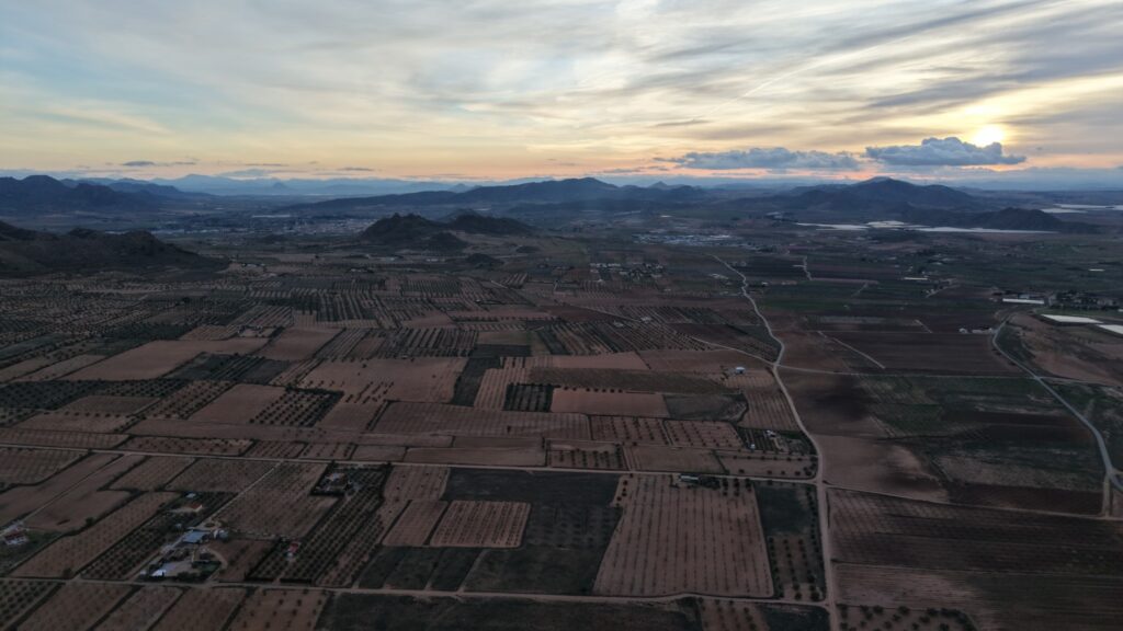 Land w Jumilla - oferta MLSC6917788