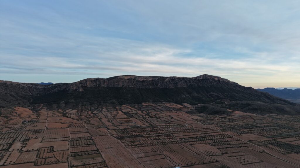Land w Jumilla - oferta MLSC6917788