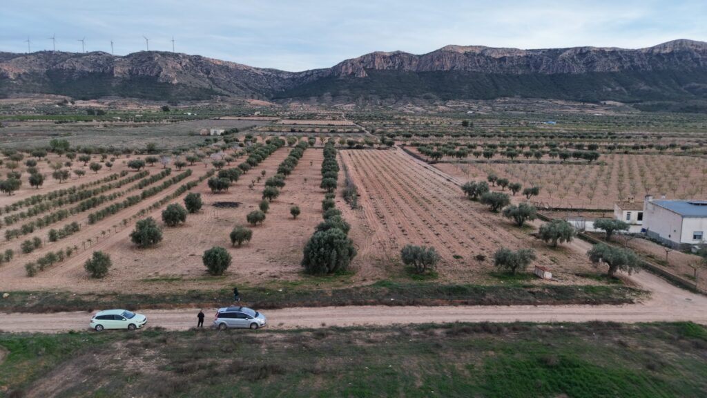 Land w Jumilla - oferta MLSC8983349