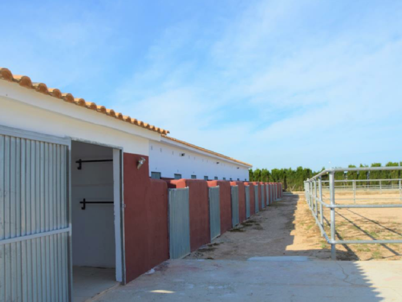 Land w San Miguel de Salinas - oferta MLSC5012939
