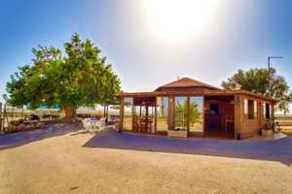Land w Torre Pacheco - oferta MLSC1369741