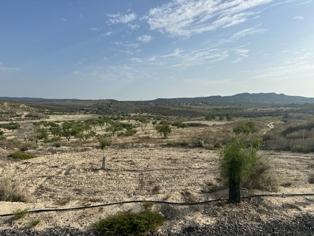 Land w Torremendo - oferta MLSC163098