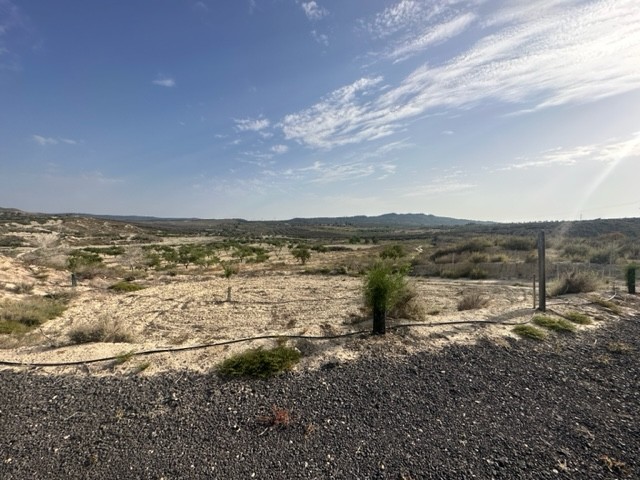 Land w Torremendo - oferta MLSC163098
