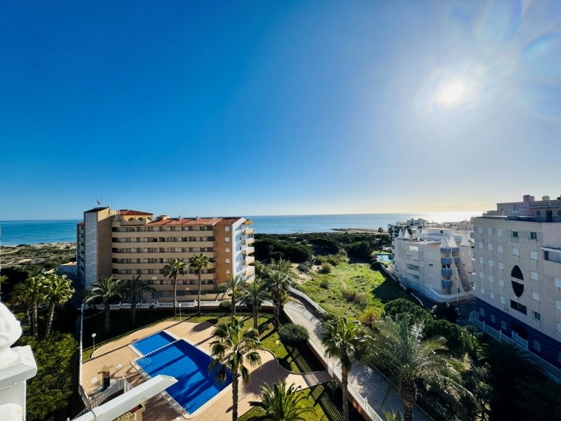 Penthouse w La Mata - oferta MLSC3699639