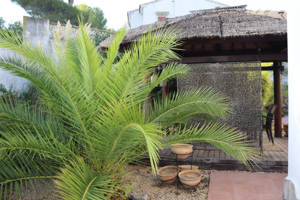 Villa w Murla - oferta MLSC9122935