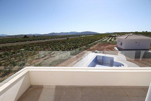 Villa w Pinoso - oferta N7755