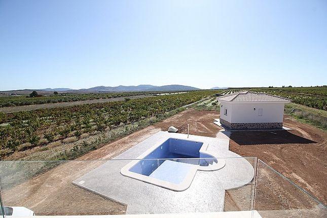 Villa w Pinoso - oferta N7755