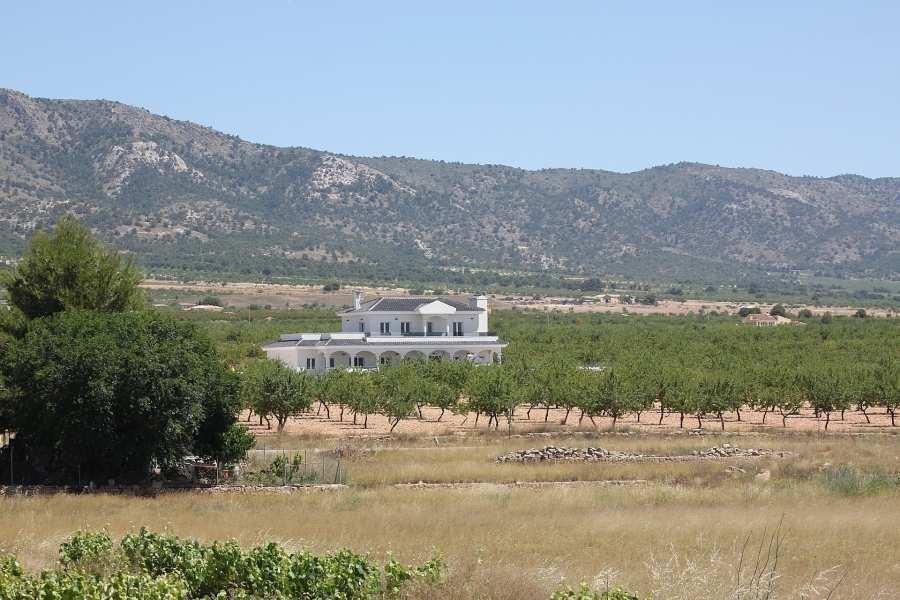 Villa w Pinoso - oferta N7759
