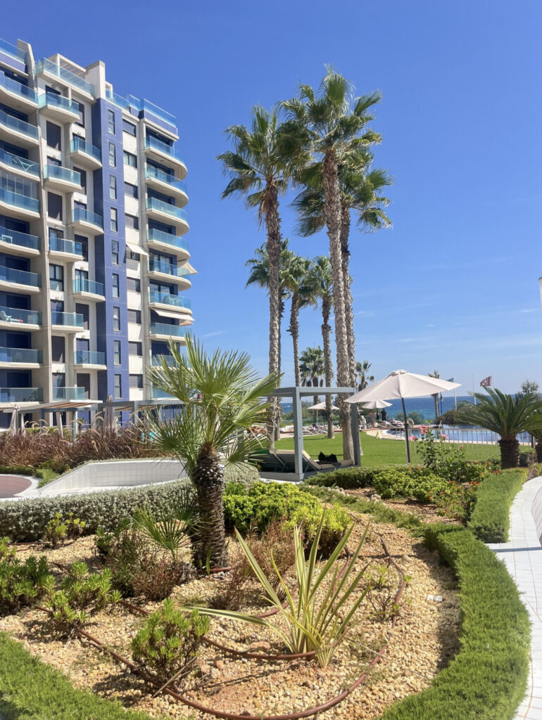 Apartment w Punta Prima - oferta CH-IN188