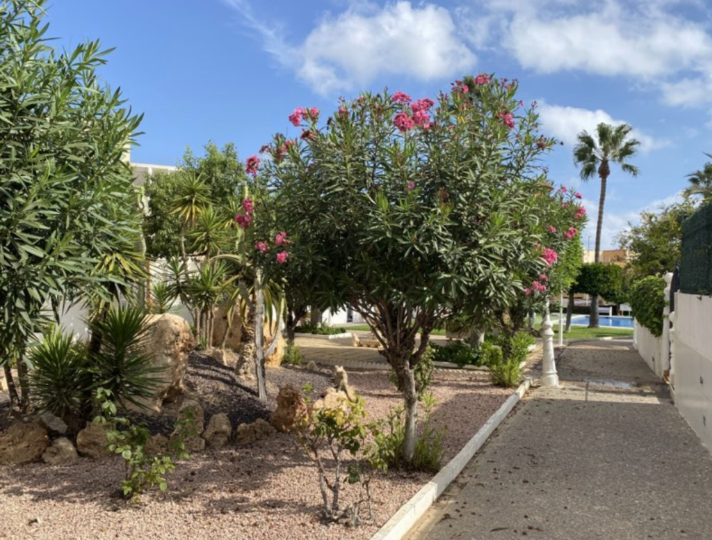 Apartment w Torrevieja - oferta CH-E229