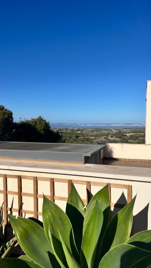 Apartment w San Miguel de Salinas - oferta MLSC649394