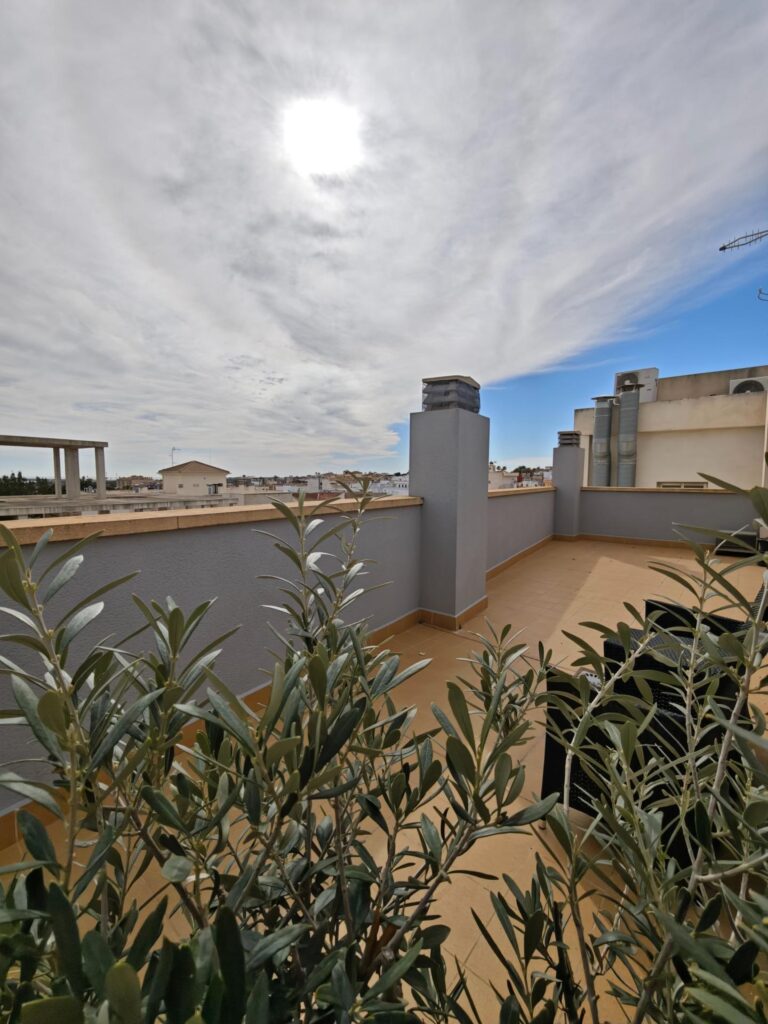 Apartment w San Miguel de Salinas - oferta MLSC9017153