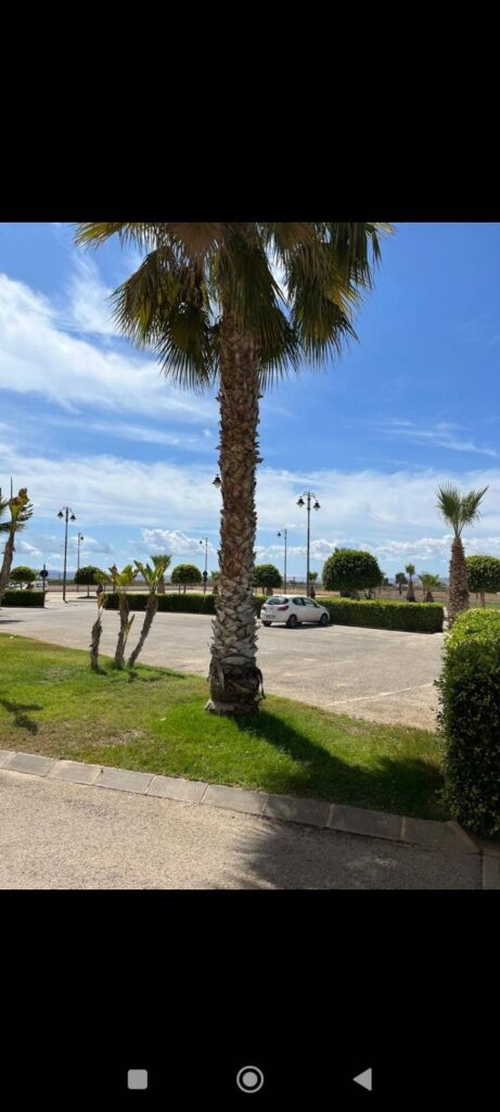 Apartment w Torre Pacheco - oferta MLSC6257110