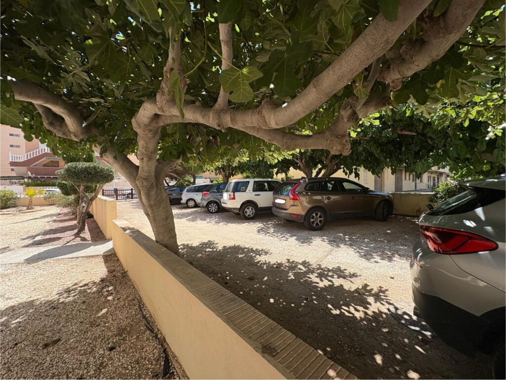 Apartment w Torrevieja - oferta MLSC5163821