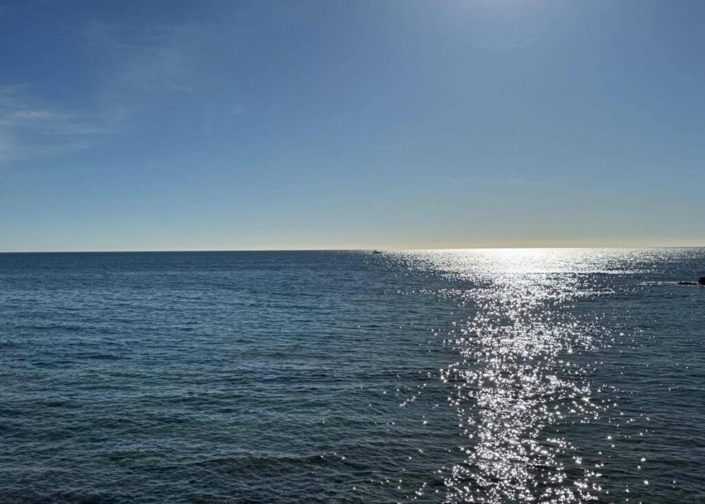 Apartment w Torrevieja - oferta MLSC6265964