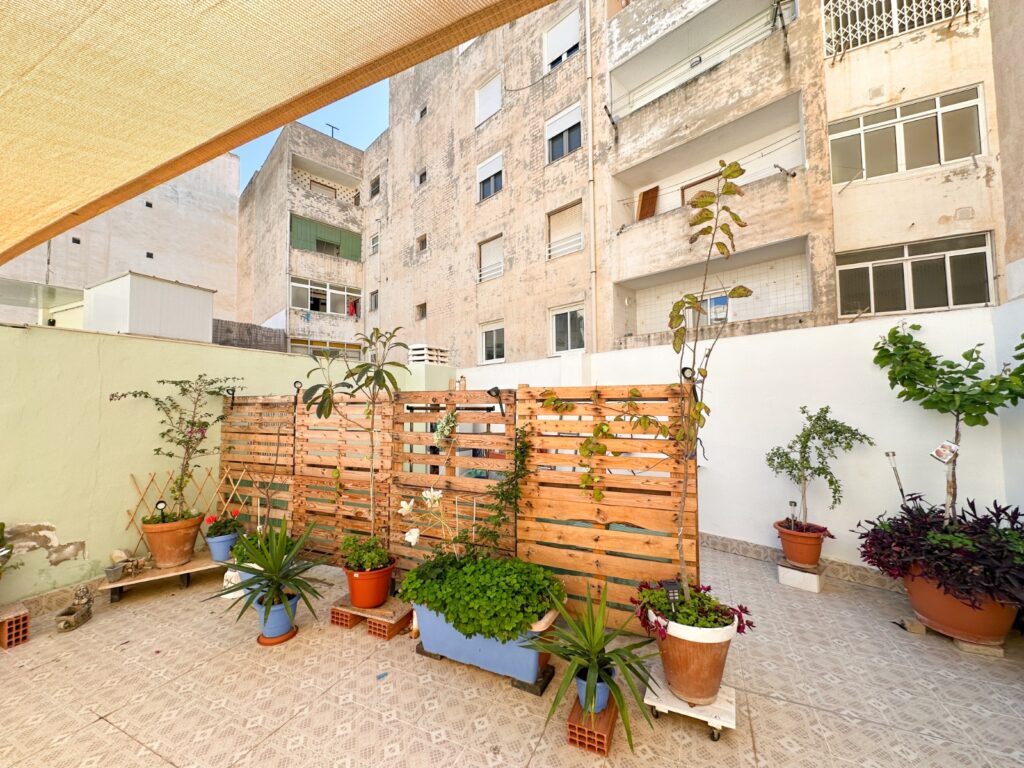 Apartment w Torrevieja - oferta MLSC9872720