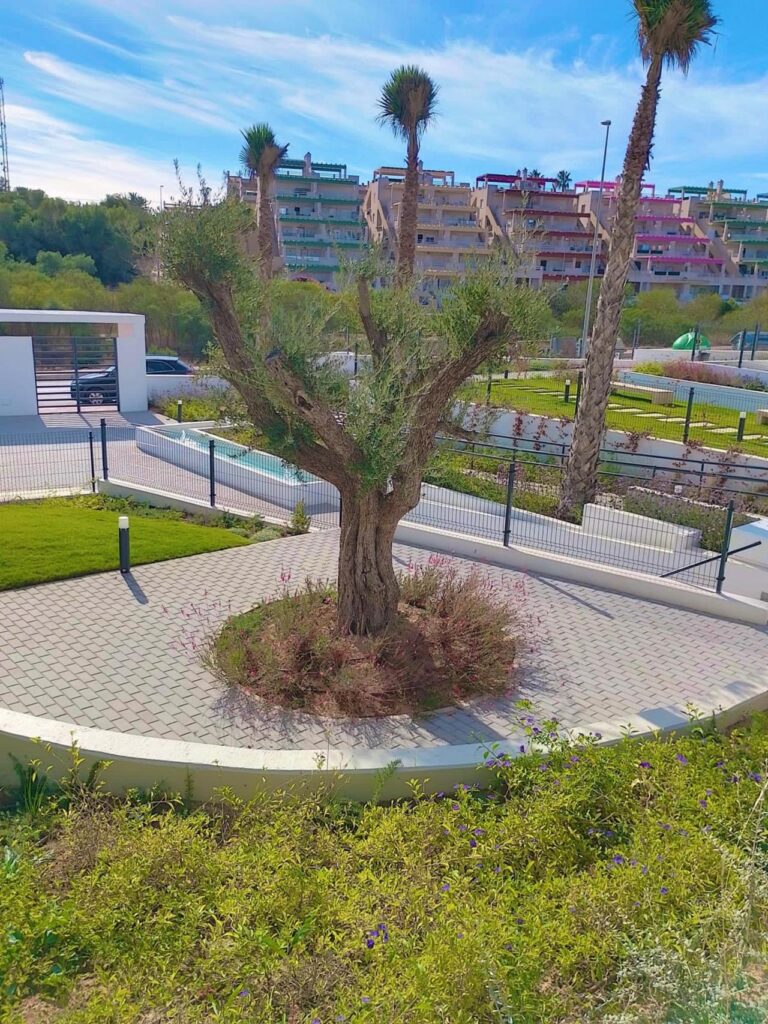 Apartment w Villamartin - oferta MLSC8706084